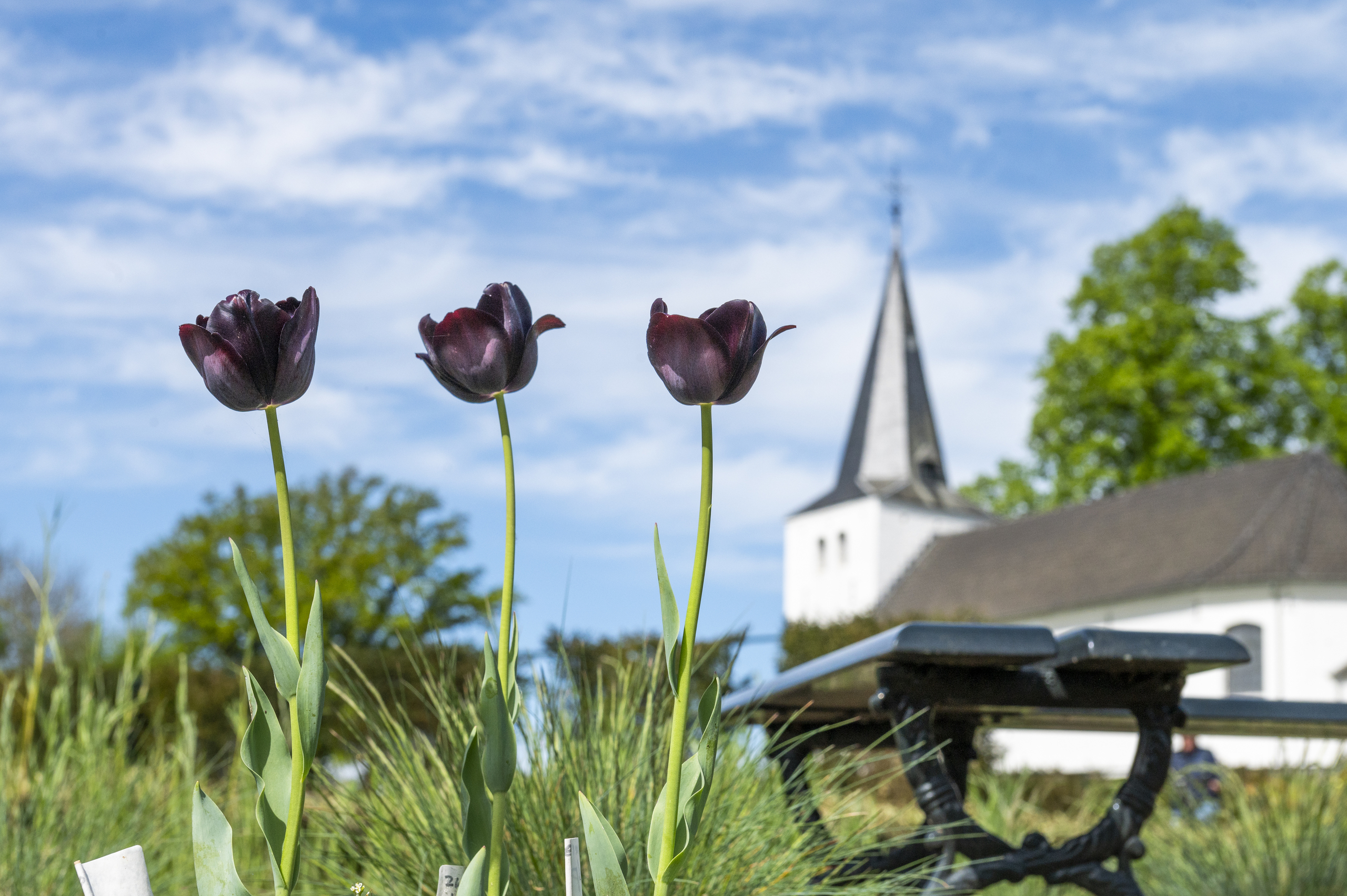 foto clemensdomein 2