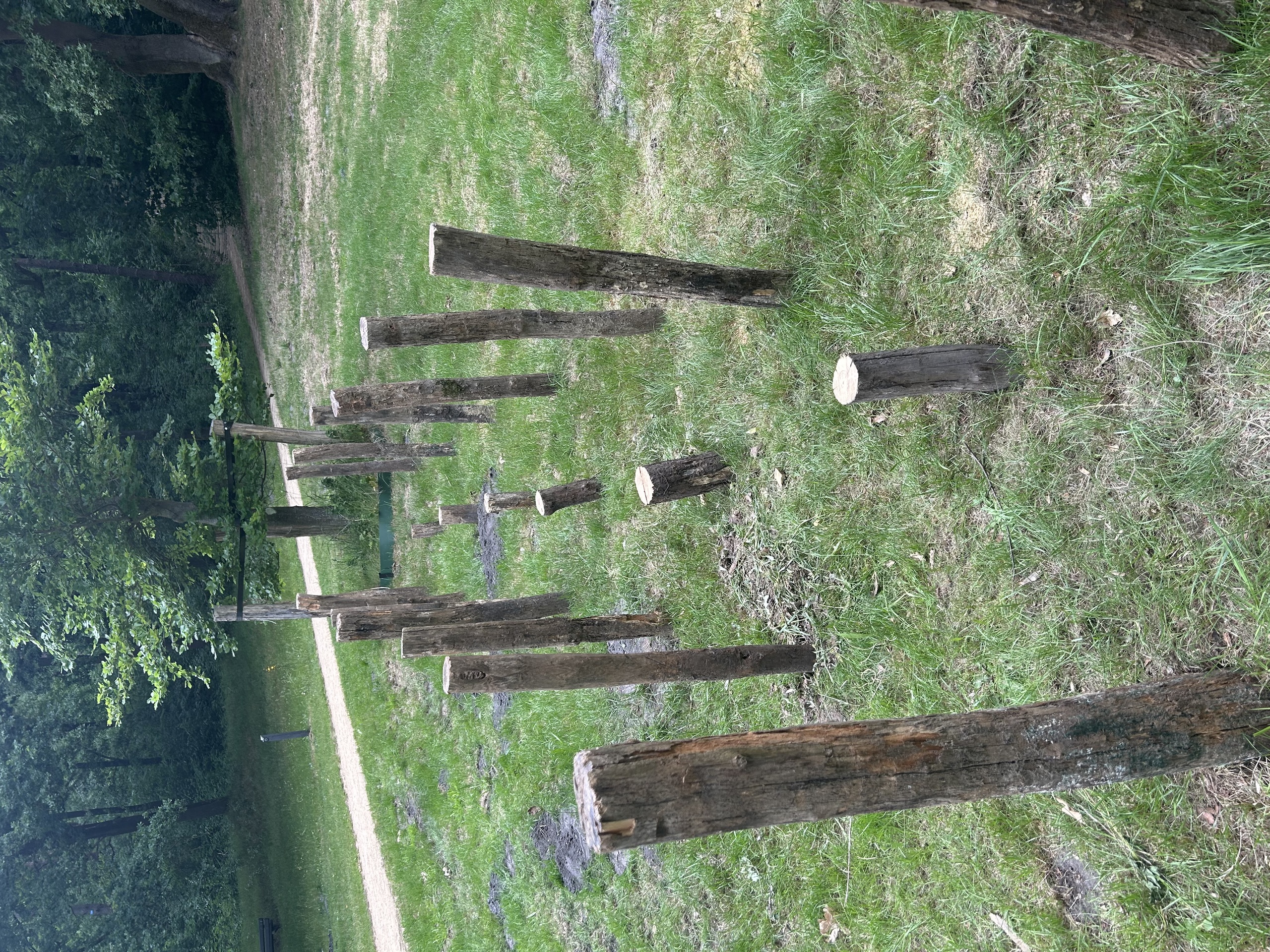 Natuurspeeltuin wandelroute
