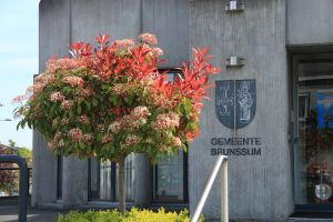 foto van gemeentewapen in gevel gemeentehuis