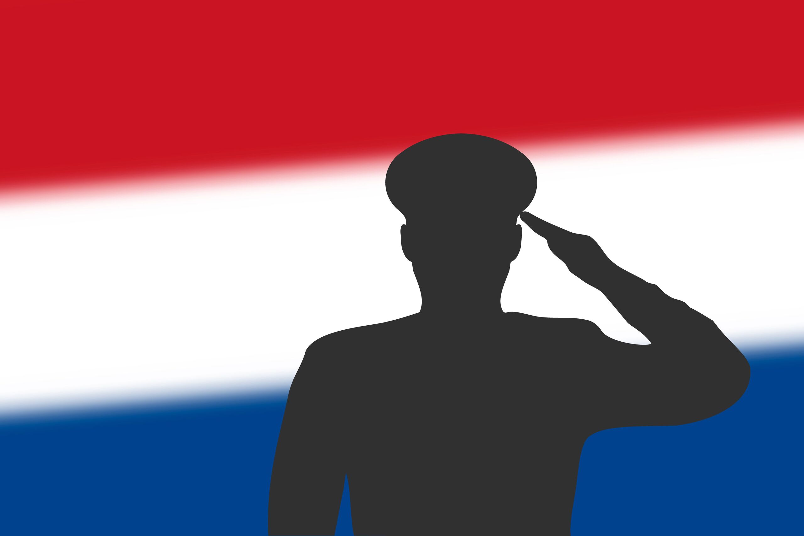 Veteranendag 2026