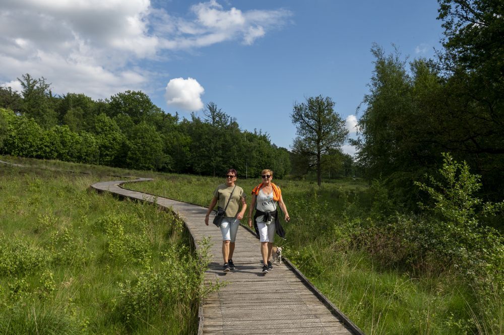 Schutterspark hangvennen